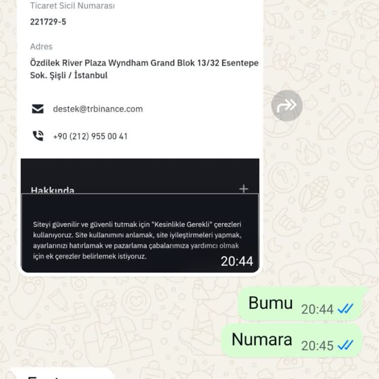 Binance TR Hesabıma Erişemiyorum, Destek Yetersiz Kaldı