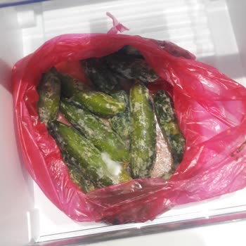 Profilo Nofrost Buzdolabında Sürekli Arıza Ve Yetersiz Servis Hizmeti