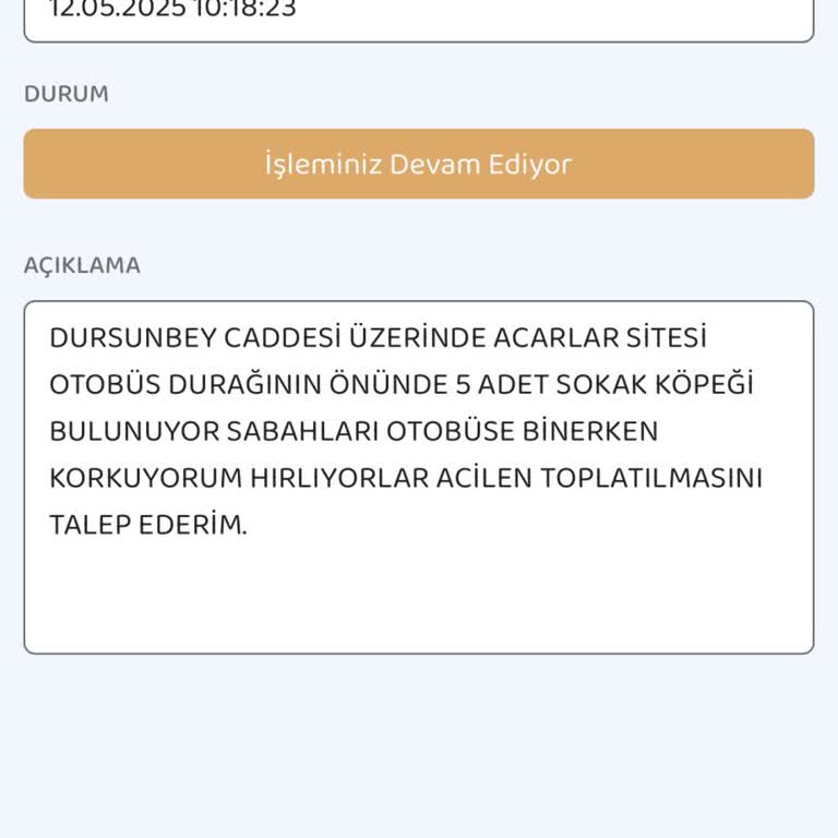 Otobüs Durağında Başıboş Köpekler Yüzünden Korku Dolu Anlar Yaşıyoruz