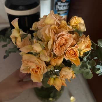 Sipariş Edilen Çiçek Solmuş Ve Görsele Uygun Değil