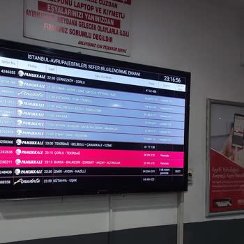 Pamukkale Turizm Bilgilendirme Ekranı Mağduriyeti: Biletim Yandı, 2.5 Saat Bekletildim