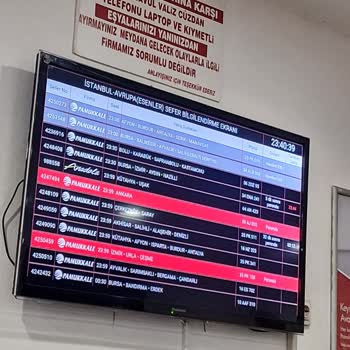 Pamukkale Turizm Bilgilendirme Ekranı Mağduriyeti: Biletim Yandı, 2.5 Saat Bekletildim