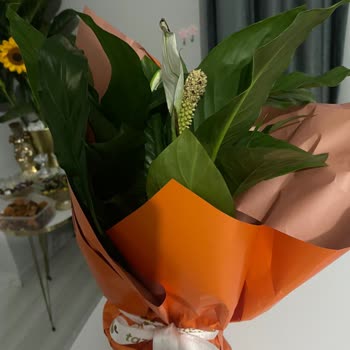 Anneler Günü Siparişim Çürük Ve Özensiz Teslim Edildi Büyük Hayal Kırıklığı Yaşadım