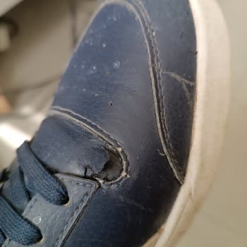 Puma Mağazasından Aldığım Ayakkabılar Kısa Sürede Yıprandı, Değişim Talebime Dönüş Yapılmıyor