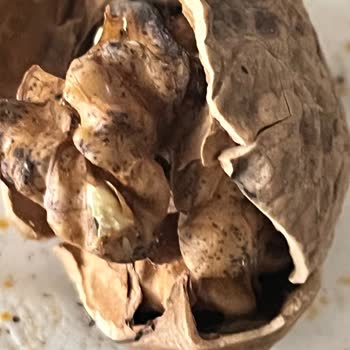 Migros Bozuk Ve Kurtlanmış Cevizleri Müşterilere Satıyor!