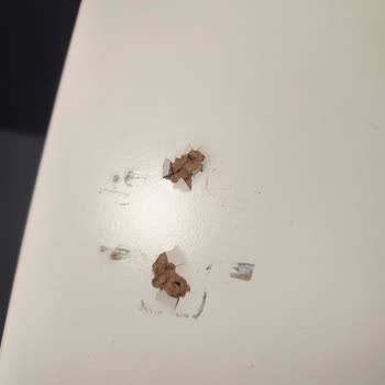 Dolap Kapağı Çocuğumun Üzerine Düştü, Mağaza Sorumsuz Davranıyor