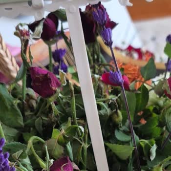 Anneler Günü'nde Yanlış Ve Solmuş Çiçek Gönderimiyle Hayal Kırıklığı