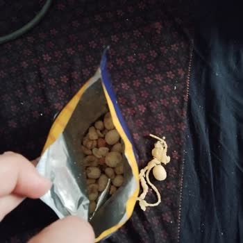 Tadım Gıda Aldığım Üründen Çıkan Yabancı Maddeye Sessiz Kaldılar