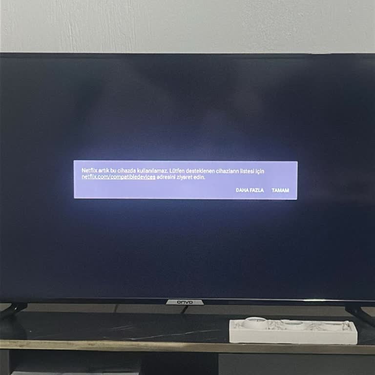 Yeni Aldığım Televizyonda Netflix Kullanılamıyor
