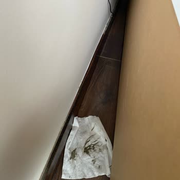 Grand Residence By Newinn Kirli Ve Eksik Teslim Edilen Evde Hizmet Alamama Sorunu