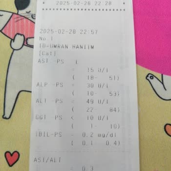 Nestle Purina Petcare Yüzünden Kedim Hastalandı