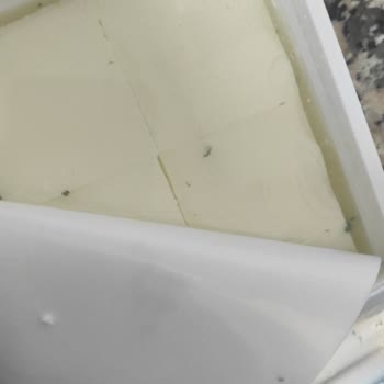 Kapalı Ambalajda Küflü Ekici Süzme Peynir Mağduriyeti