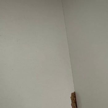 Kırık Ve Kalitesiz Ürün, Yetersiz Müşteri Hizmeti Nedeniyle Mağduriyet