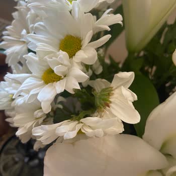 Çiçek Sepeti  'nden Eksik Ve Kusurlu Ürün Teslimatı: Anneler Günü Hayal Kırıklığı