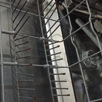 Beko Bulaşık Makinesi Sepet Tellerinde Küflenme Ve Sağlık Endişesi