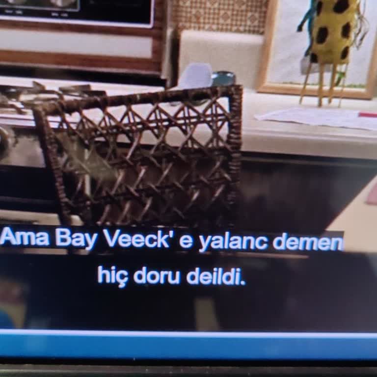 I Watched Dark Water on Disney+ and the Turkish Subtitles Were Full of Errors