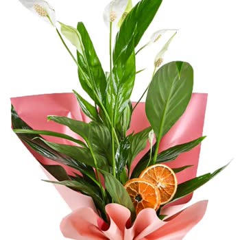 Anneler Günü Hediyem Kırık Ve Kuru Çiçekle Mahcup Oldum