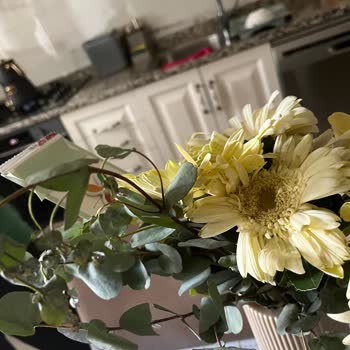 Çiçek Siparişimde Taze Olmayan Ürünler Gönderildi