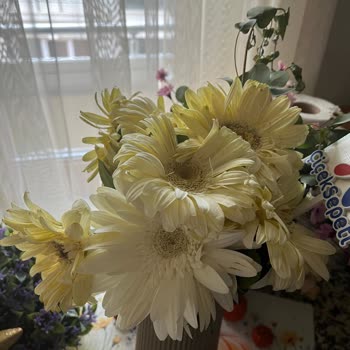 Çiçek Siparişimde Taze Olmayan Ürünler Gönderildi