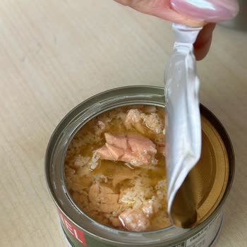 Taze Tarihli Ton Balığında Beklenmedik Garip Oluşumlar Ve Ulaşım Sorunu