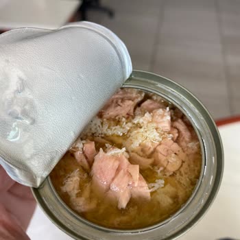 Taze Tarihli Ton Balığında Beklenmedik Garip Oluşumlar Ve Ulaşım Sorunu