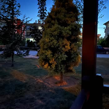 Parkta Yanmayan Sokak Lambaları Çocuklar İçin Tehlike Oluşturuyor