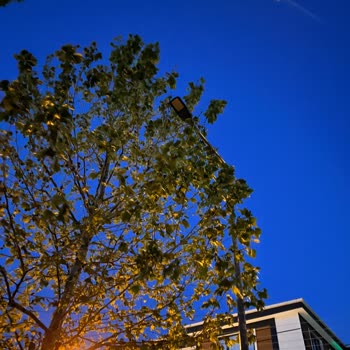 Parkta Yanmayan Sokak Lambaları Çocuklar İçin Tehlike Oluşturuyor