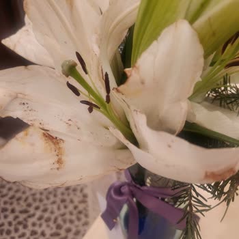 Gönderilen Çiçek Yanmış Ve İade Süreci Çözülemedi