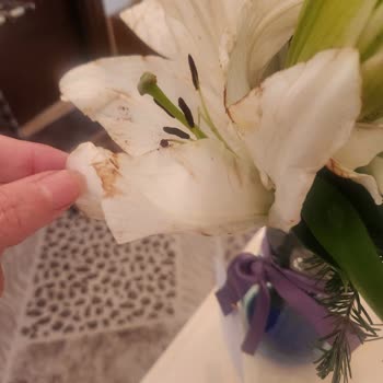 Gönderilen Çiçek Yanmış Ve İade Süreci Çözülemedi