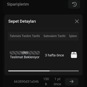 Satın Aldığım Hesap 3 Haftadır Teslim Edilmedi, Destek Ekibi Yanıt Vermiyor