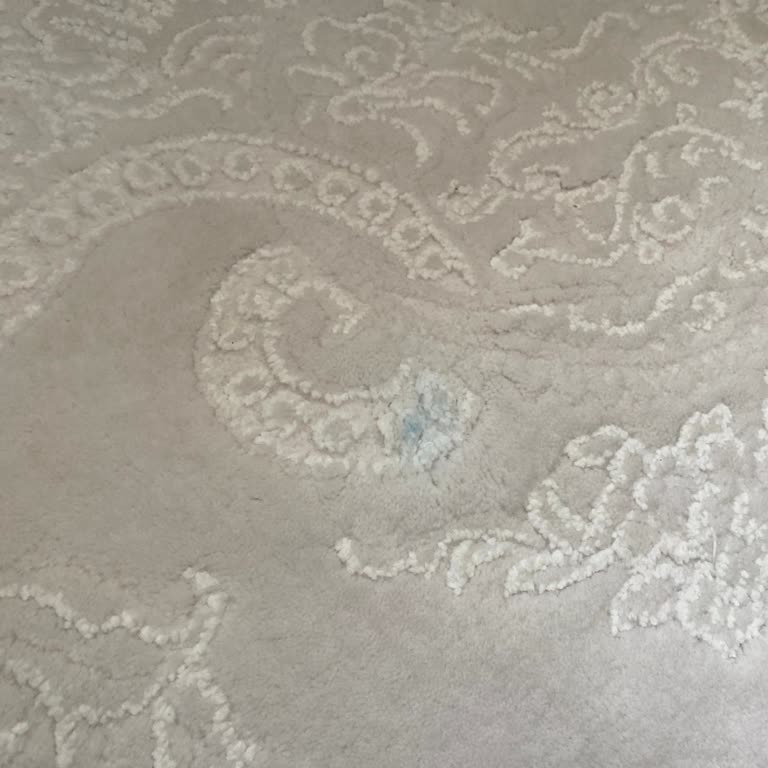 Halı Temizliği Ve Müşteri Hizmetlerinde Saygısız Yaklaşım