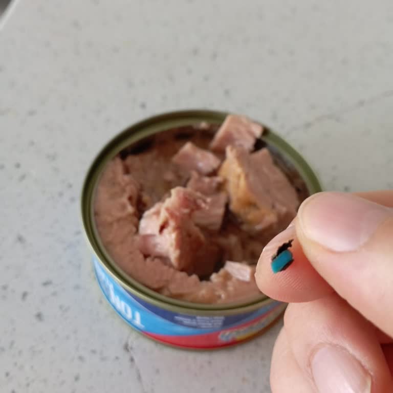 Ton Balığında Plastik Parça Buldum Endişem Büyük