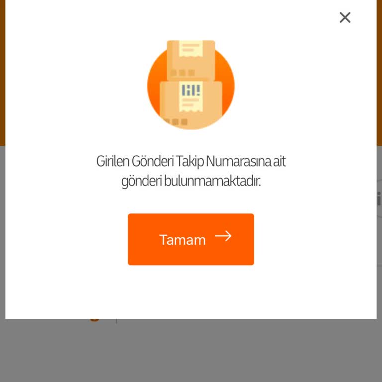 Siparişimin Kargoya Teslim Edilmemesine Ve Yanlış Takip Numarasına İtirazım