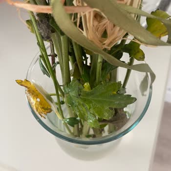 Çiçek Sepeti'nden Gelen Çiçek Hayal Kırıklığı Yaşattı