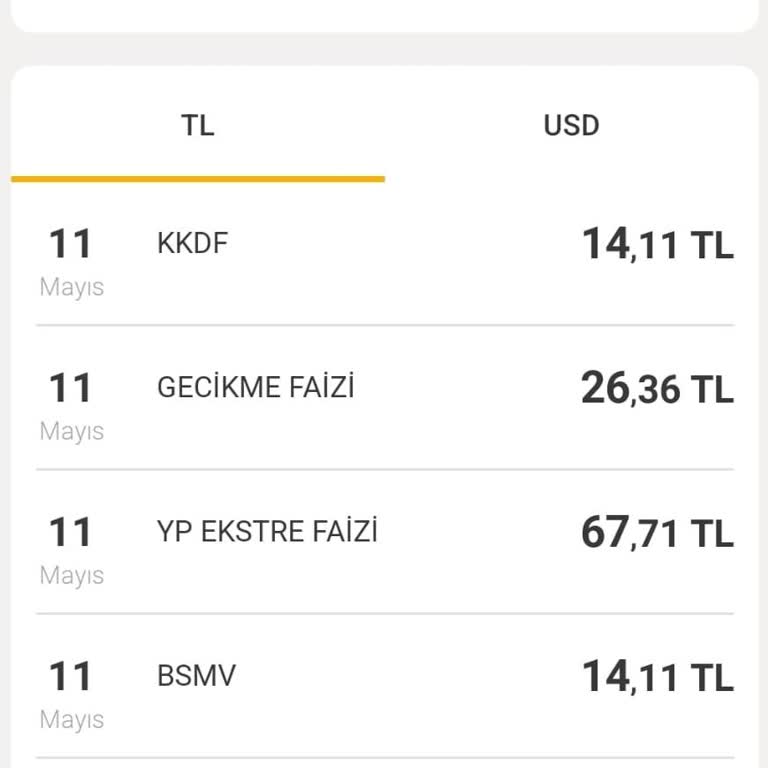 VakıfBank Worldcard'da Döviz Borcu Ödeme Sorunu Ve Gecikme Faizi Hakkında Belirsizlik