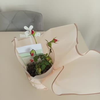 Yanlış Ve Solmuş Ürün Gönderimi Nedeniyle Anneler Günü Hayal Kırıklığı