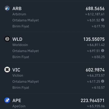 Binance TRde Coin Maliyetlerim Değer Artışında Yükseliyor