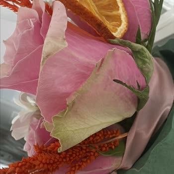 Taze Çiçek'ten Siparişimde Tekrarlanan Sorunlar Ve Yetersiz Çözüm