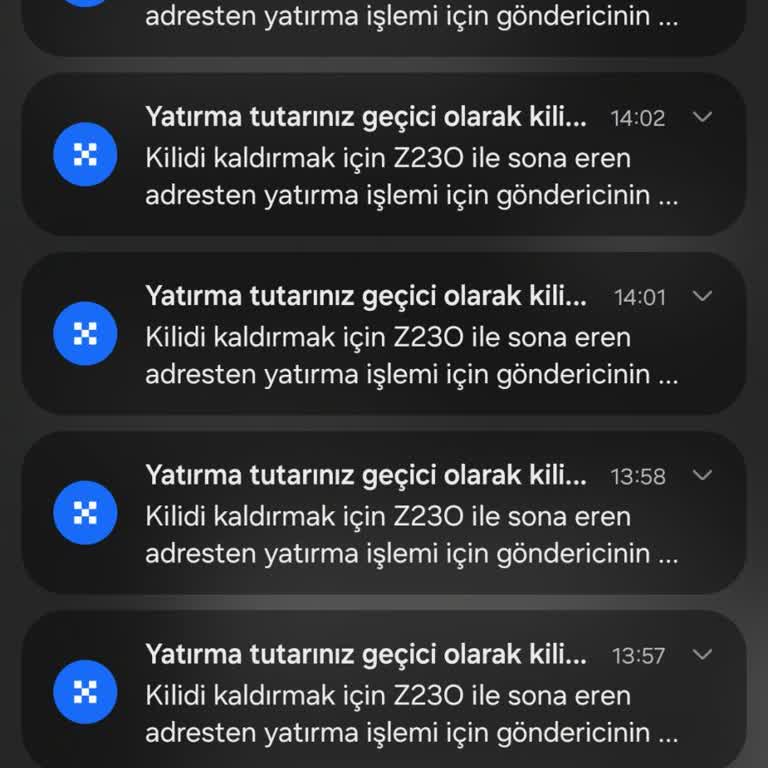 OKX TR'de Varlık Kilidi Sorunu Ve Değer Kaybı Yaşıyorum