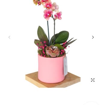 Geç Teslimat Ve Hasarlı Ürün Nedeniyle Hayal Kırıklığı