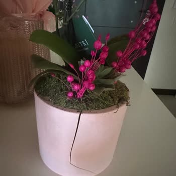 Geç Teslimat Ve Hasarlı Ürün Nedeniyle Hayal Kırıklığı