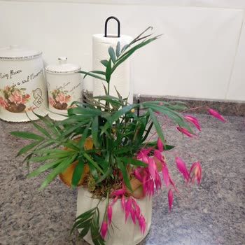 Anneler Günü Siparişim Geç Ve Yanlış Bilgilendirme İle Teslim Edildi, Ürün Beklentimi Karşılamadı