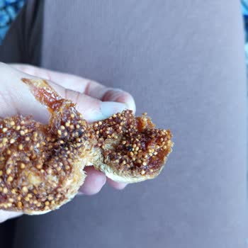 Aldığım İncirden Karınca Ve Kurt Çıktı!