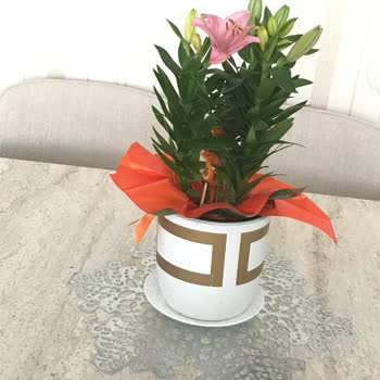 Anneler Günü Çiçeği Yanlış Ve İletişim Yok