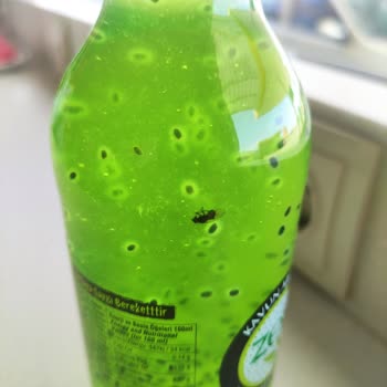 Zen İçecekte Sinek Çıkıyor!