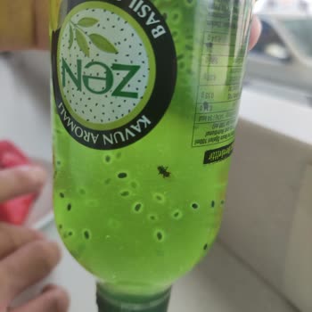 Zen İçecekte Sinek Çıkıyor!