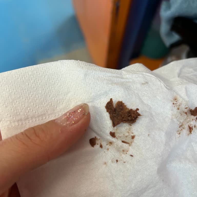 Aldığım Bisküvinin İçinden Karton Çıktı