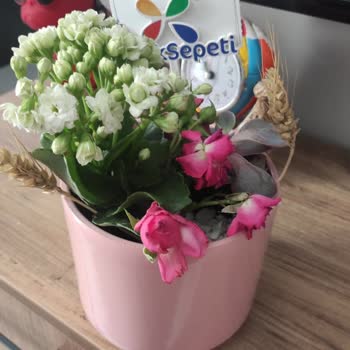 Anneler Günü Siparişim Beklentilerimi Karşılamadı: Görseldeki Ürünle Alakasız Ve Özensiz Gönderim