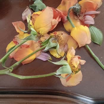 Anneler Günü İçin Gönderilen Çiçeklerin Beklentileri Karşılamaması