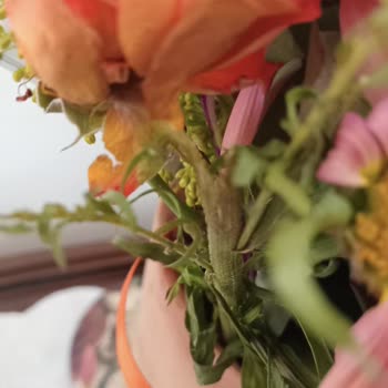 Anneler Günü İçin Gönderilen Çiçeklerin Beklentileri Karşılamaması